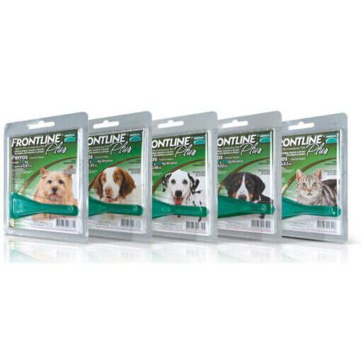 Frontline Plus