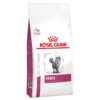 Renal Feline x 2 Kg