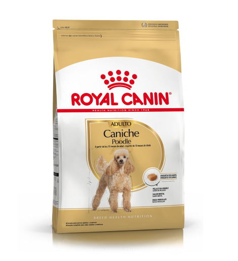 Caniche Adulto x 3 kg