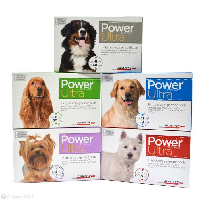 Power Pipeta