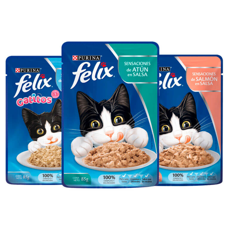 Favor Significativo Tradicion Sobre Felix x 85 grs – Pet Market Tienda de Mascotas