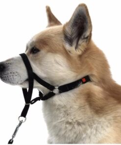 Alternative view of Arnes Bozal Trixie