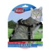 Arnes Y Correa Gatos Trixie