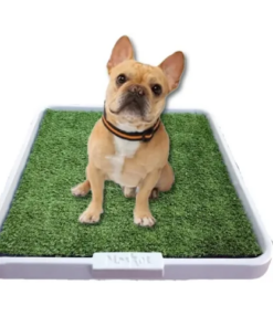 Alternative view of Bandeja Maskot Hembra Extra Gde. 80X60