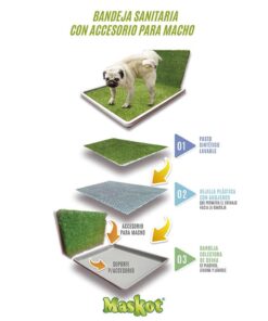Alternative view of Bandeja Maskot Macho 46X46