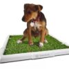 Bandeja Tonipets Hembra Mini.