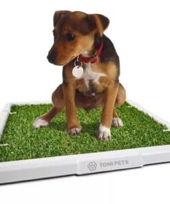 Bandeja Tonipets Hembra Mini.