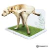 Bandeja Tonipets Macho Gde.