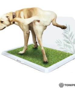 Bandeja Tonipets Macho Gde.