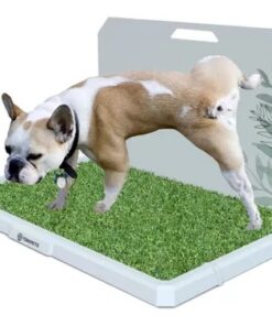 Bandeja Tonipets Macho Med.