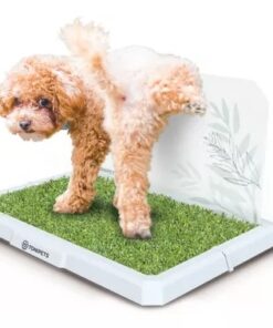 Bandeja Tonipets Macho Mini.