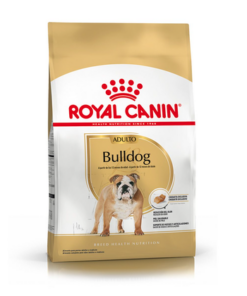 Bulldog English Adulto x 12