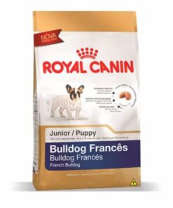Bulldog Frances Junior X 3