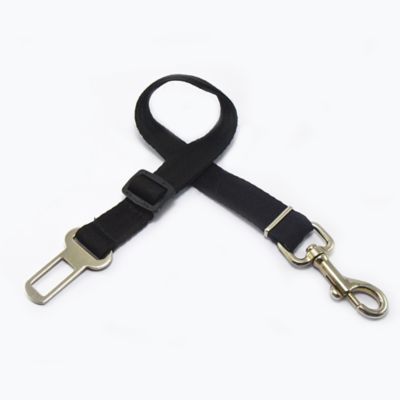 Correa de Seguridad