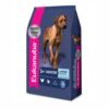 Eukanuba Large Senior x 15kg