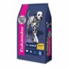 Eukanuba Medium Senior x 15kg