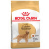 Golden Retriever Adult x 12 kg