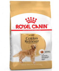 Golden Retriever Adult x 12 kg