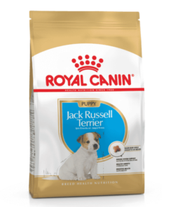 Jack Russell Puppy x 1 kg