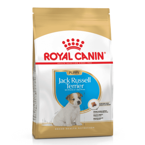 Jack Russell Puppy x 1 kg