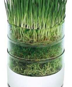 Alternative view of Kit Germinador Bioset