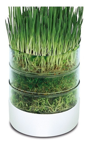 Kit Germinador Bioset - Imagen 2