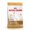 Labrador Retriever Adult x 12 kg