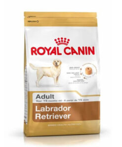 Labrador Retriever Adult x 12 kg