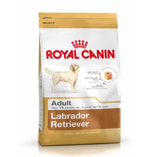 Labrador Retriever Adult x 12 kg