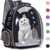 Mochila Transparente - Catbag