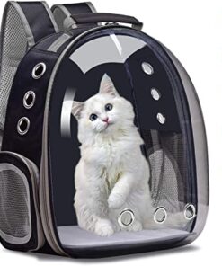 Mochila Transparente - Catbag