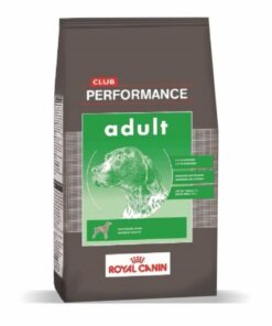 Performance Adulto x 15 Kg