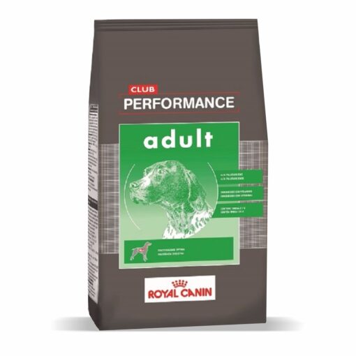 Performance Adulto x 15 Kg