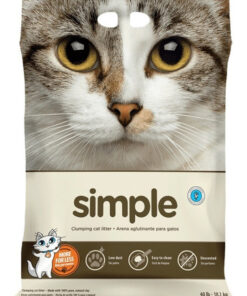 Piedra Aglutinante Intersand SIMPLE x 10KG