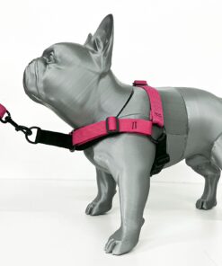 Pretal TPM Anti-Tirón