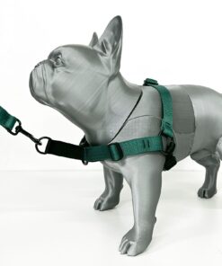 Alternative view of Pretal TPM Anti-Tirón