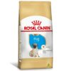 Pug Puppy x 1 kg