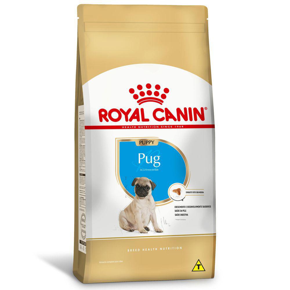 Pug Puppy x 1 kg