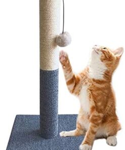 Rascador Poste TG 30x30x44