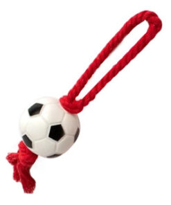 Soga Futbol Rascals