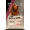 Vital Balanced N.Recipe Cerdo x 15kg