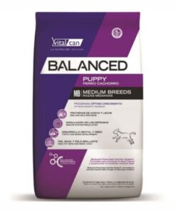 Vital Balanced Junior Medium x 3kg