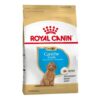 Caniche Junior x 3 kg