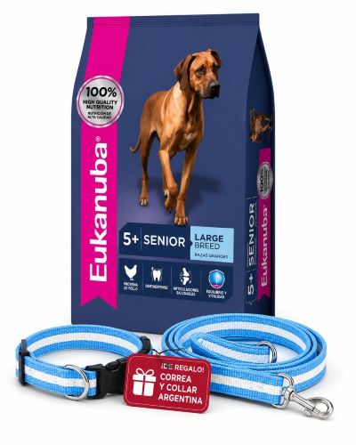 Eukanuba Large Senior x 15kg