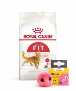 Fit 32 x 15kg+ Peluche de Regalo!