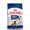Maxi +8 ( Ageing ) X 15
