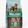 Maxxium Adulto Pollo x 15kg