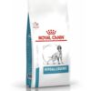 Hypoallergenic Perro x 10 Kg