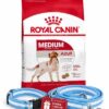 Medium Adulto x 3kg+Conjunto de Argentina!!