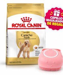 Caniche Adulto x 3 kg+Cepillo Masajeador!!